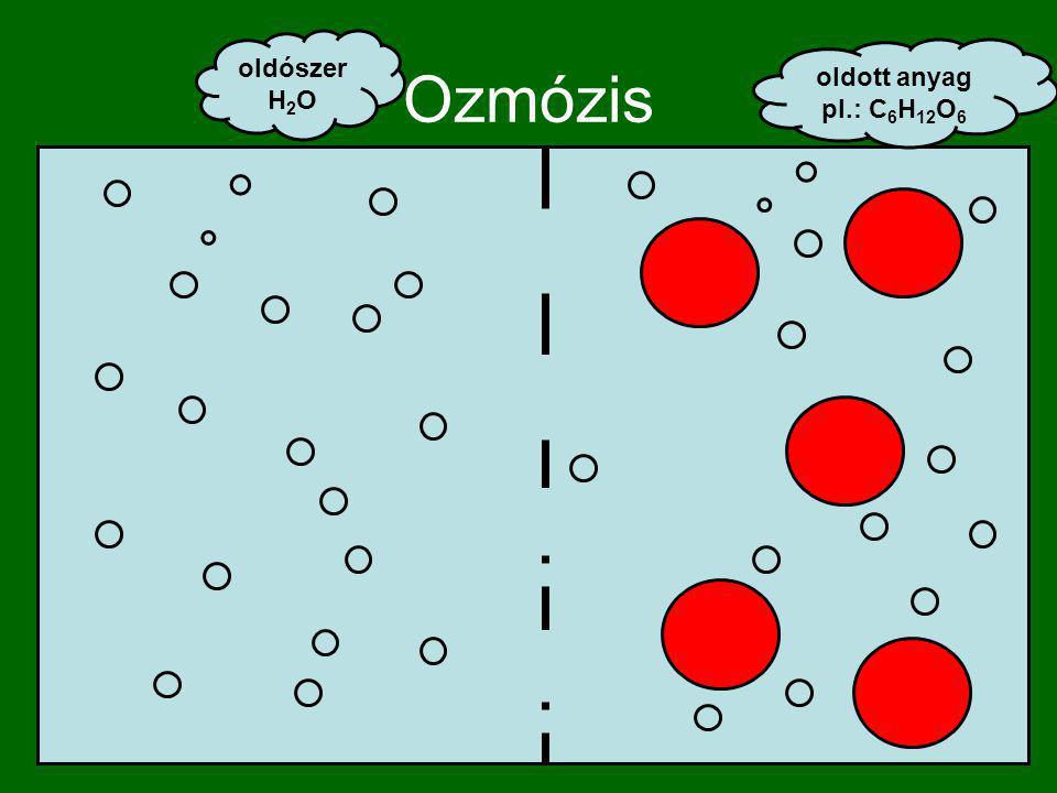Ozmózis oldószer H2O oldott anyag pl.: C6H12O6