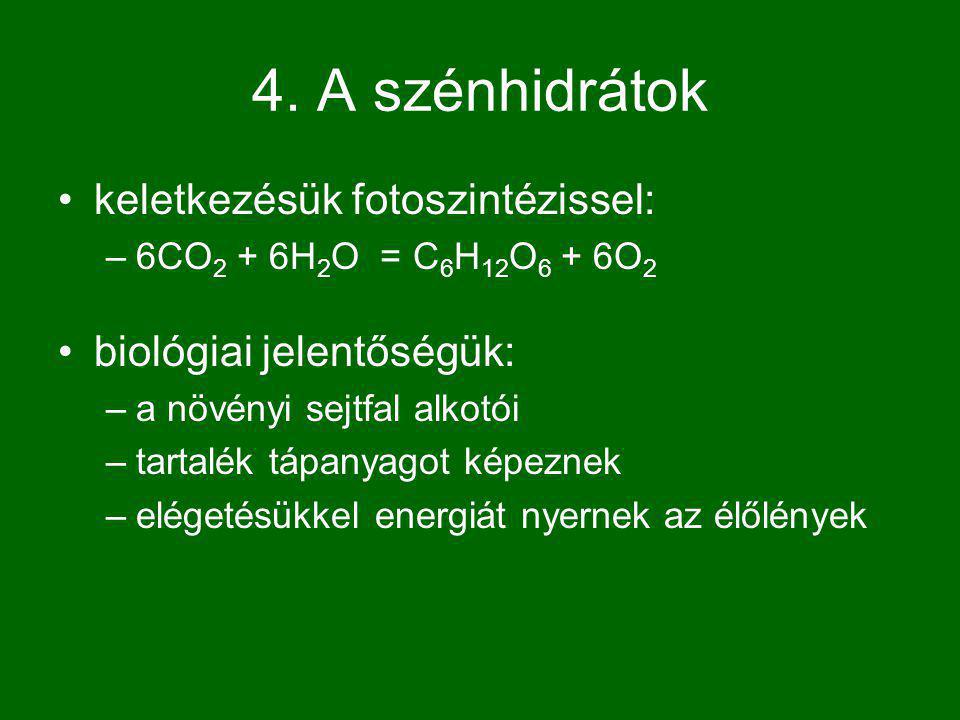 4. A szénhidrátok keletkezésük fotoszintézissel: