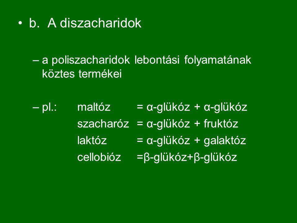 b. A diszacharidok a poliszacharidok lebontási folyamatának köztes termékei. pl.: maltóz = α-glükóz + α-glükóz.