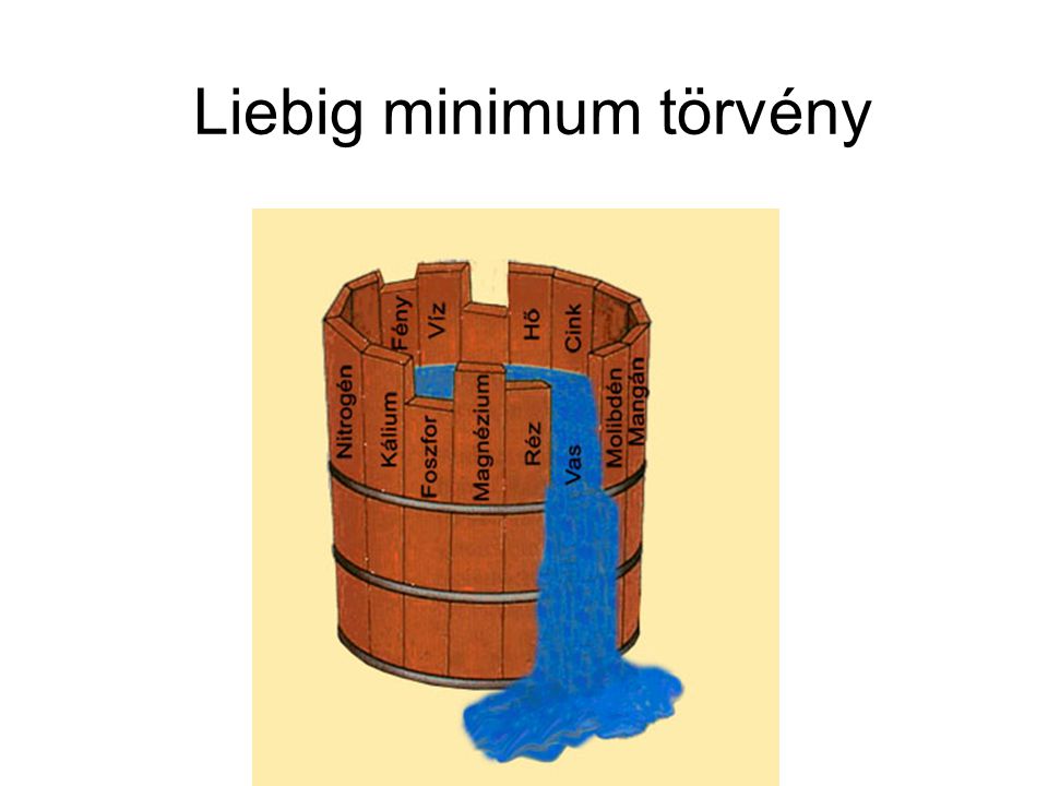 Liebig minimum törvény