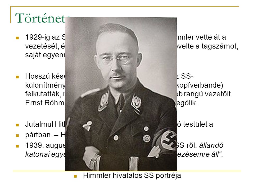 Himmler hivatalos SS portréja
