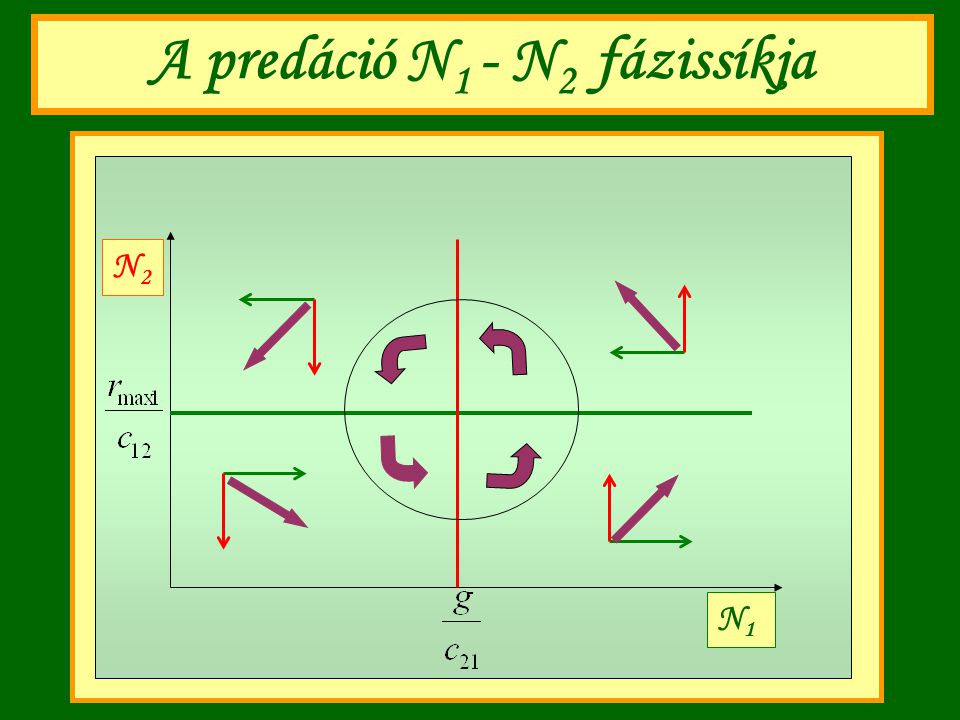 A predáció N1 - N2 fázissíkja