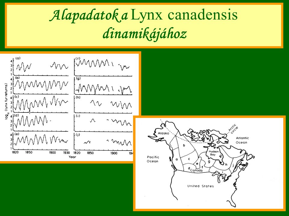 Alapadatok a Lynx canadensis dinamikájához