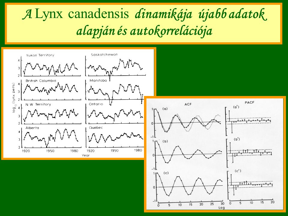 A Lynx canadensis dinamikája újabb adatok alapján és autokorrelációja