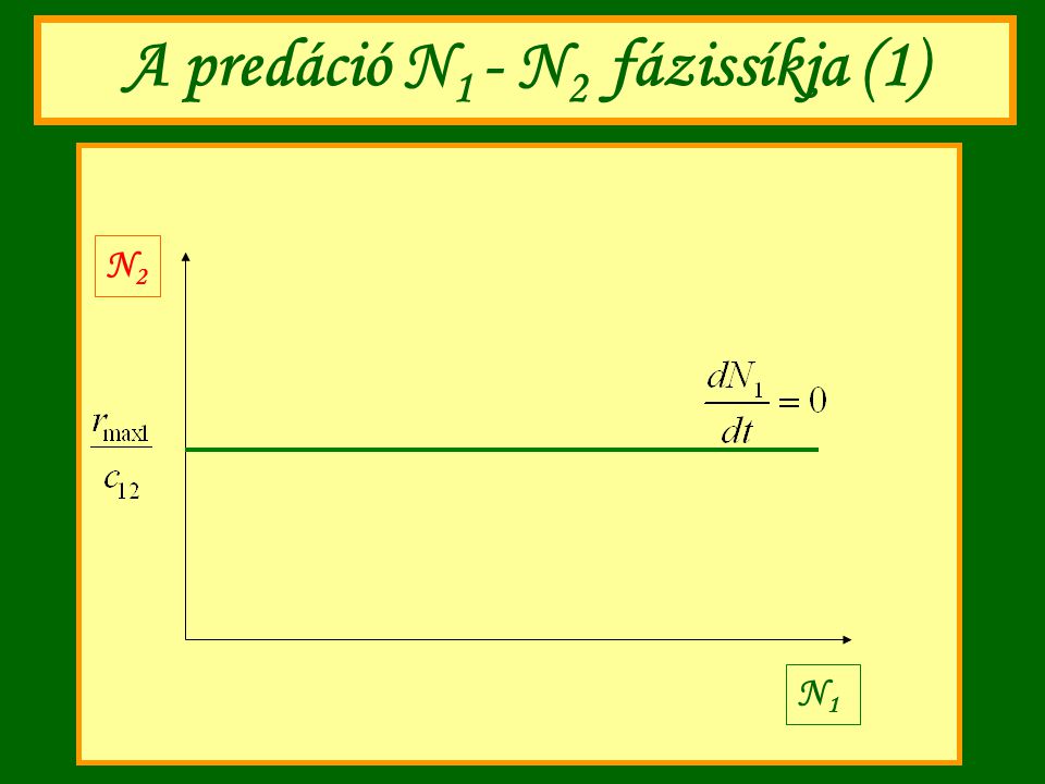 A predáció N1 - N2 fázissíkja (1)