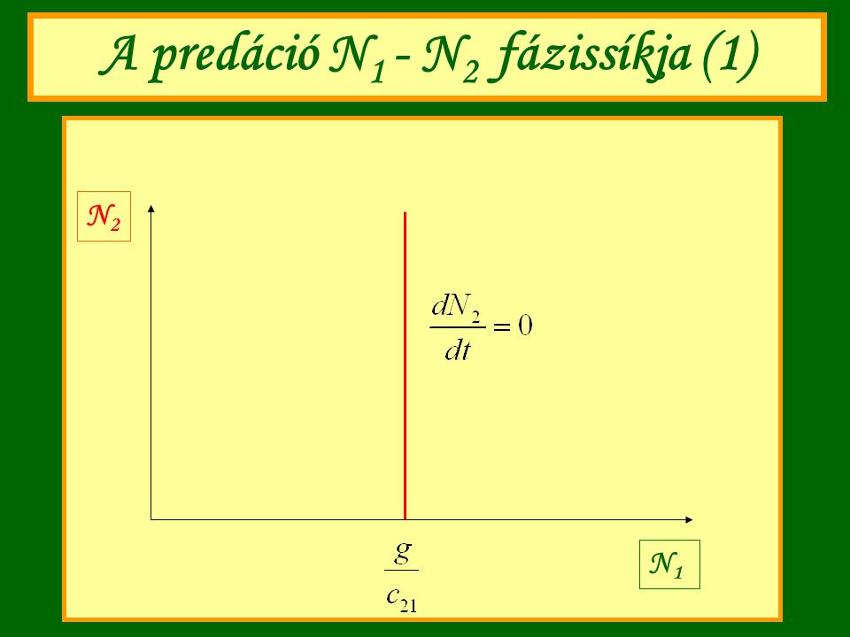 A predáció N1 - N2 fázissíkja (1)