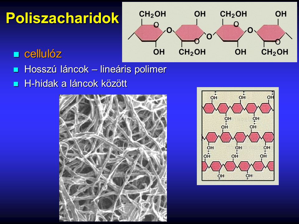 Poliszacharidok cellulóz Hosszú láncok – lineáris polimer