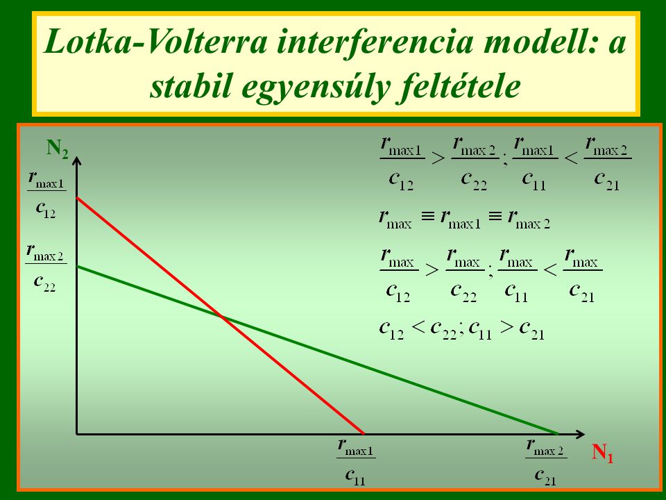 Lotka-Volterra interferencia modell: a stabil egyensúly feltétele