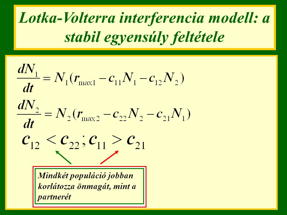 Lotka-Volterra interferencia modell: a stabil egyensúly feltétele
