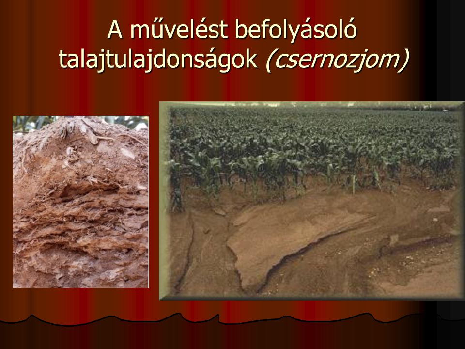A művelést befolyásoló talajtulajdonságok (csernozjom)