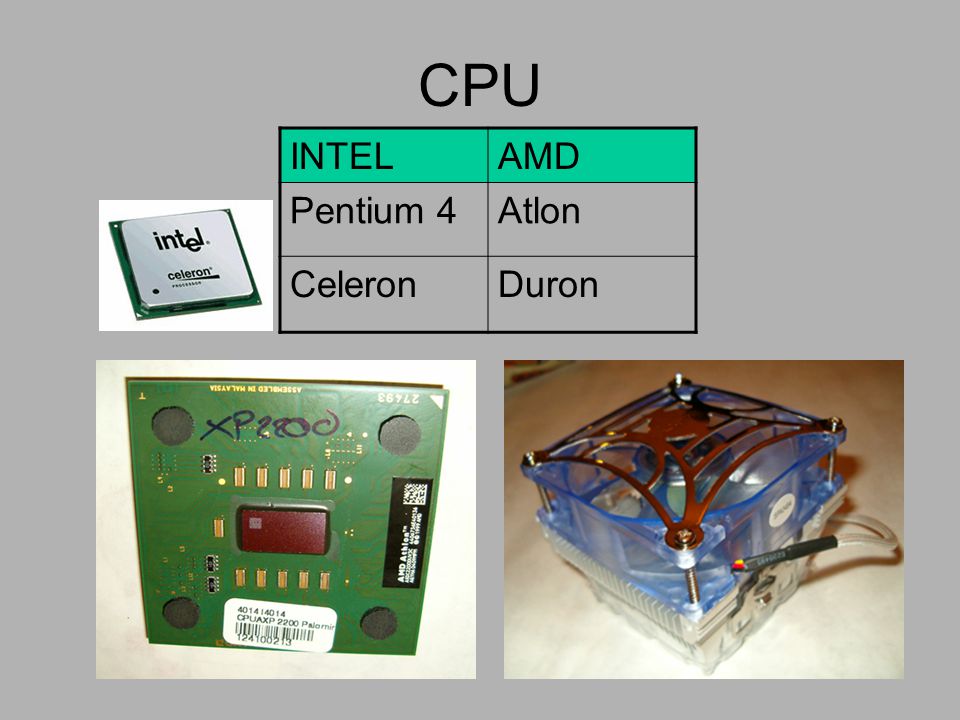 CPU INTEL AMD Pentium 4 Atlon Celeron Duron