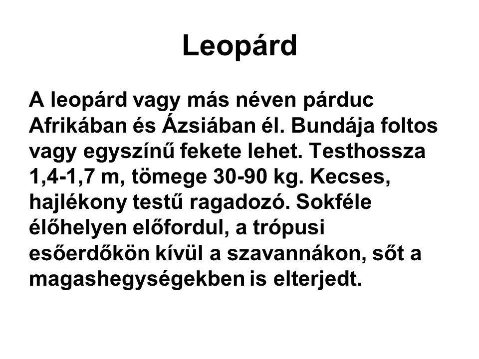Leopárd