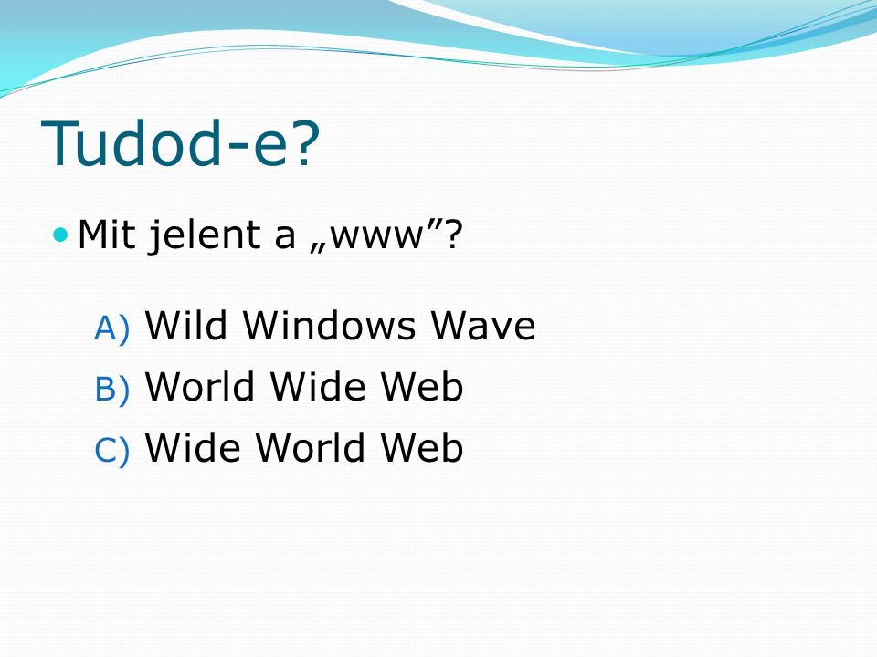 Tudod-e Mit jelent a „www Wild Windows Wave World Wide Web