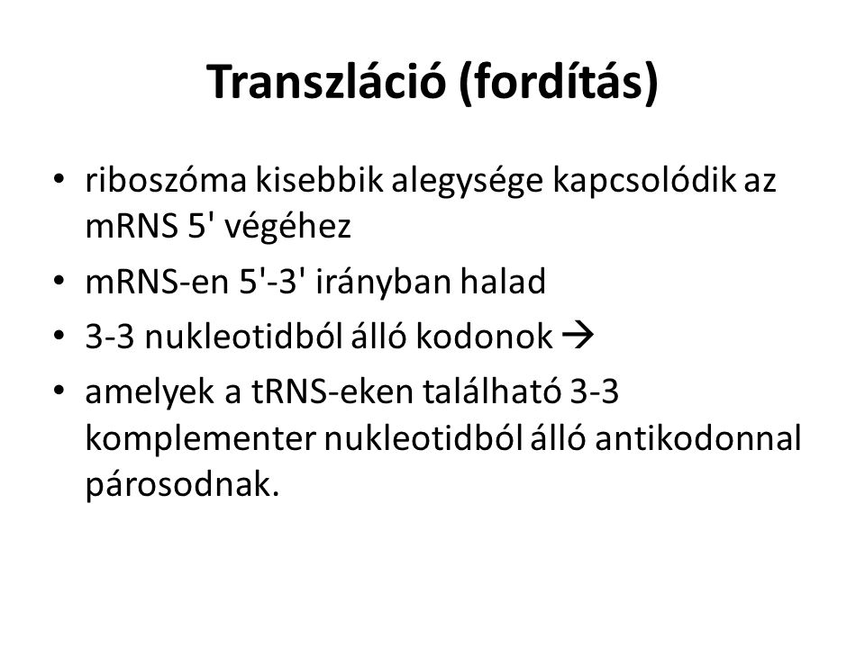 Transzláció (fordítás)