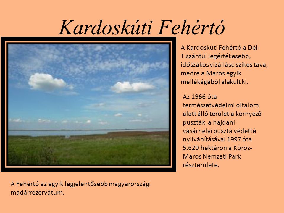 Kardoskúti Fehértó A Kardoskúti Fehértó a Dél-Tiszántúl legértékesebb, időszakos vízállású szikes tava, medre a Maros egyik mellékágából alakult ki.