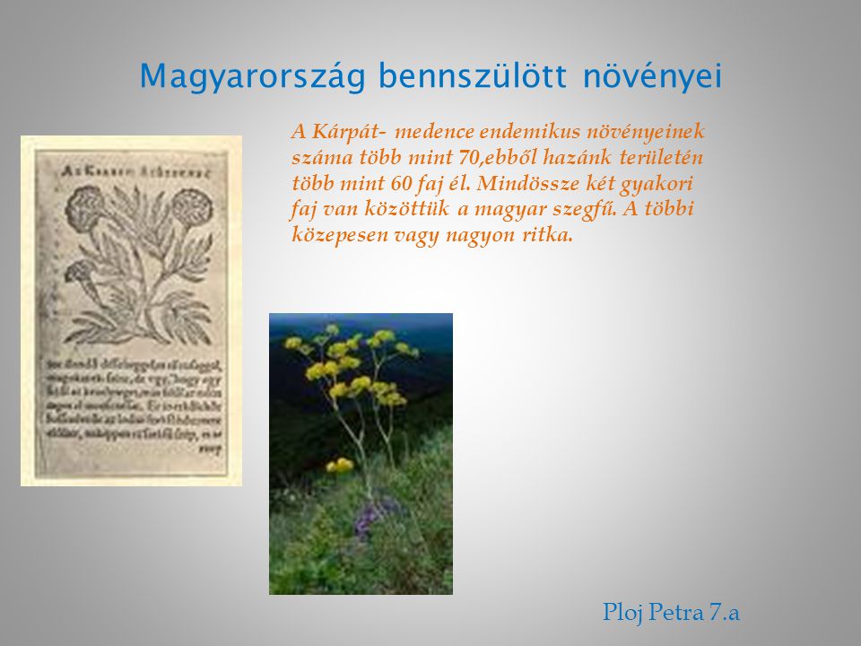 Magyarország bennszülött növényei