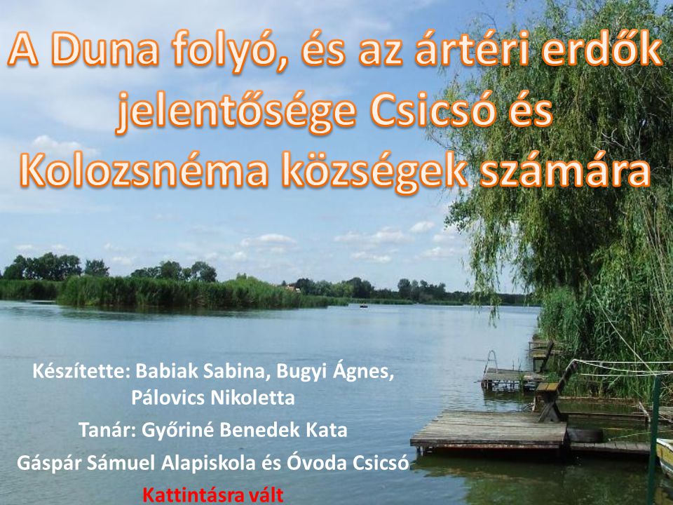 A Duna folyó, és az ártéri erdők jelentősége Csicsó és Kolozsnéma községek számára