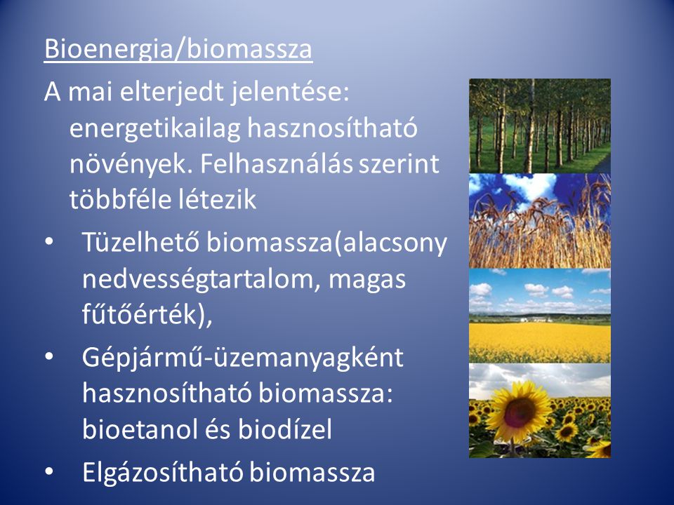 Bioenergia/biomassza