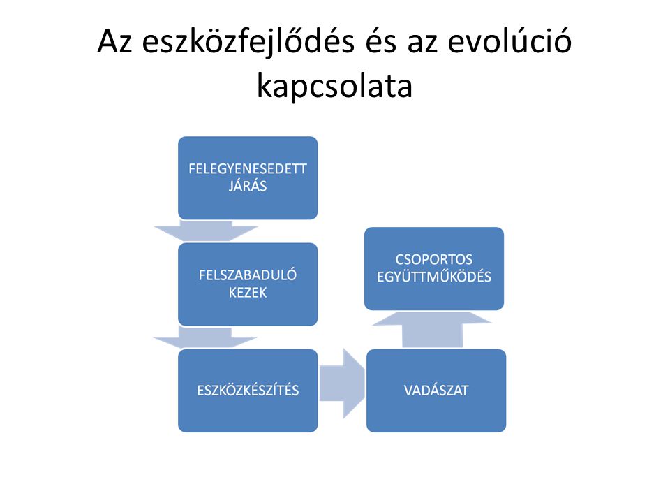 Az eszközfejlődés és az evolúció kapcsolata