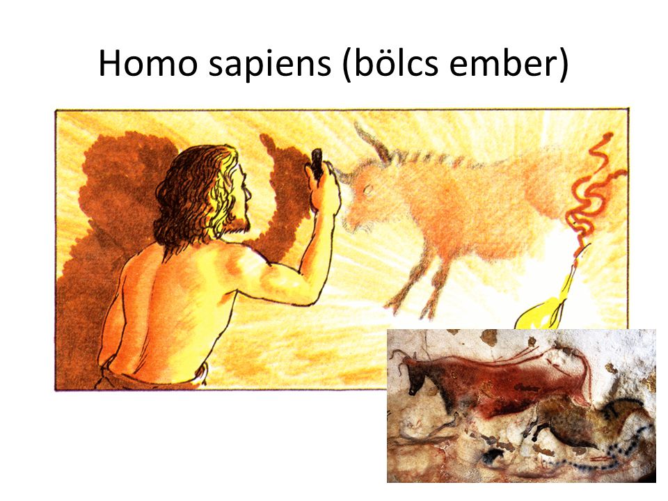 Homo sapiens (bölcs ember)