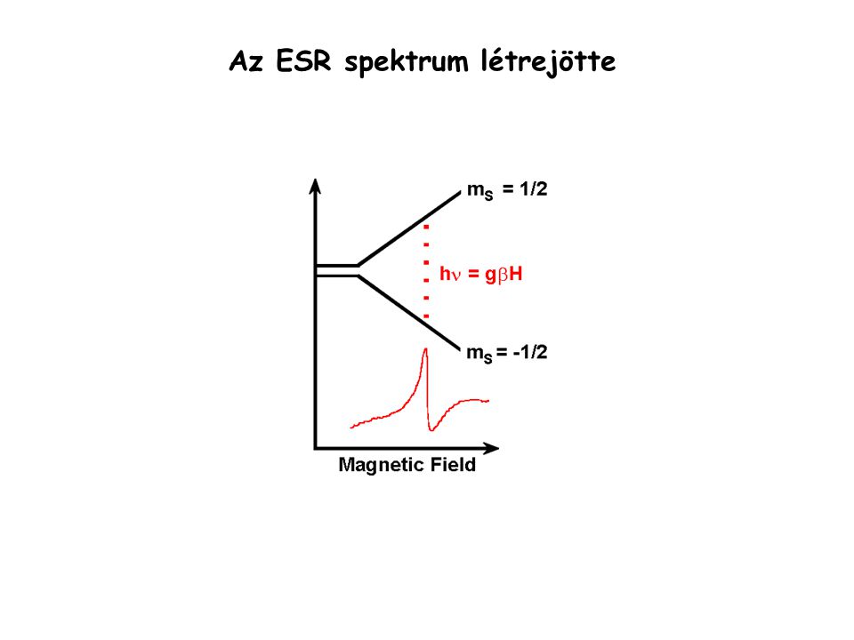 Az ESR spektrum létrejötte