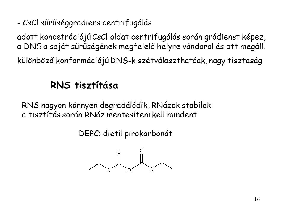 RNS tisztítása - CsCl sűrűséggradiens centrifugálás