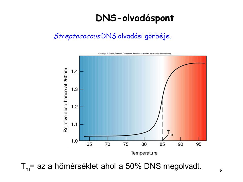 DNS-olvadáspont Tm= az a hőmérséklet ahol a 50% DNS megolvadt.