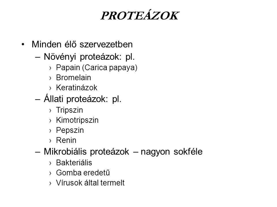 PROTEÁZOK Minden élő szervezetben Növényi proteázok: pl.