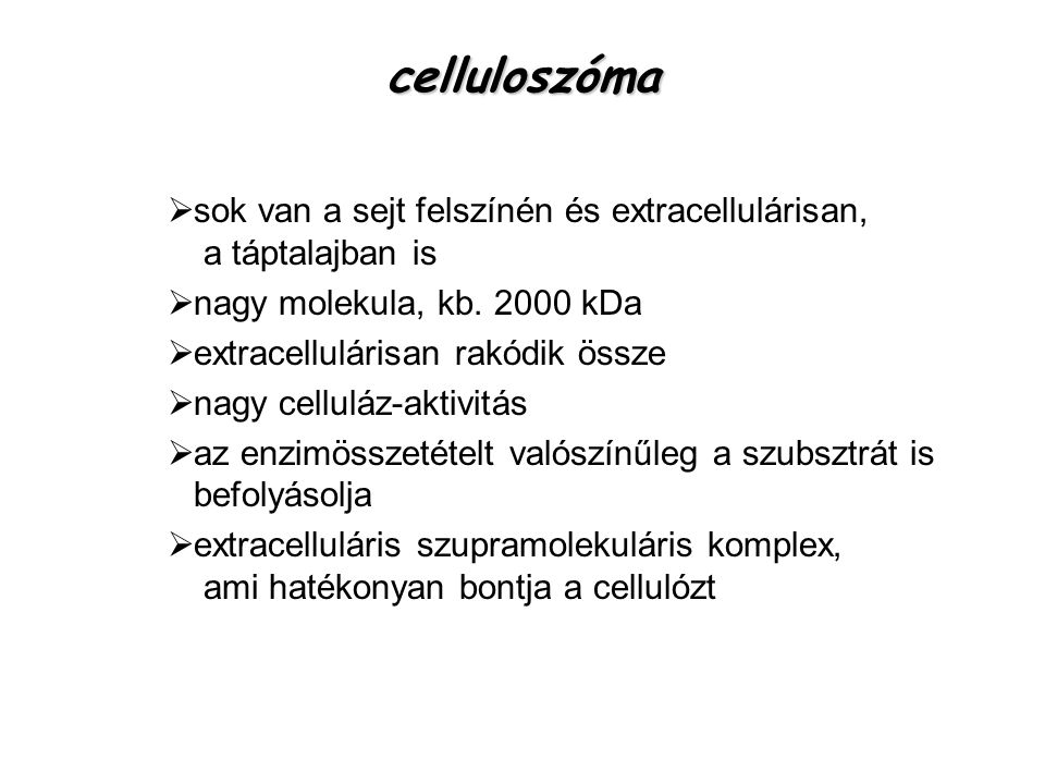 celluloszóma sok van a sejt felszínén és extracellulárisan, a táptalajban is. nagy molekula, kb kDa.