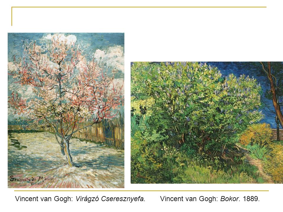 Vincent van Gogh: Virágzó Cseresznyefa.