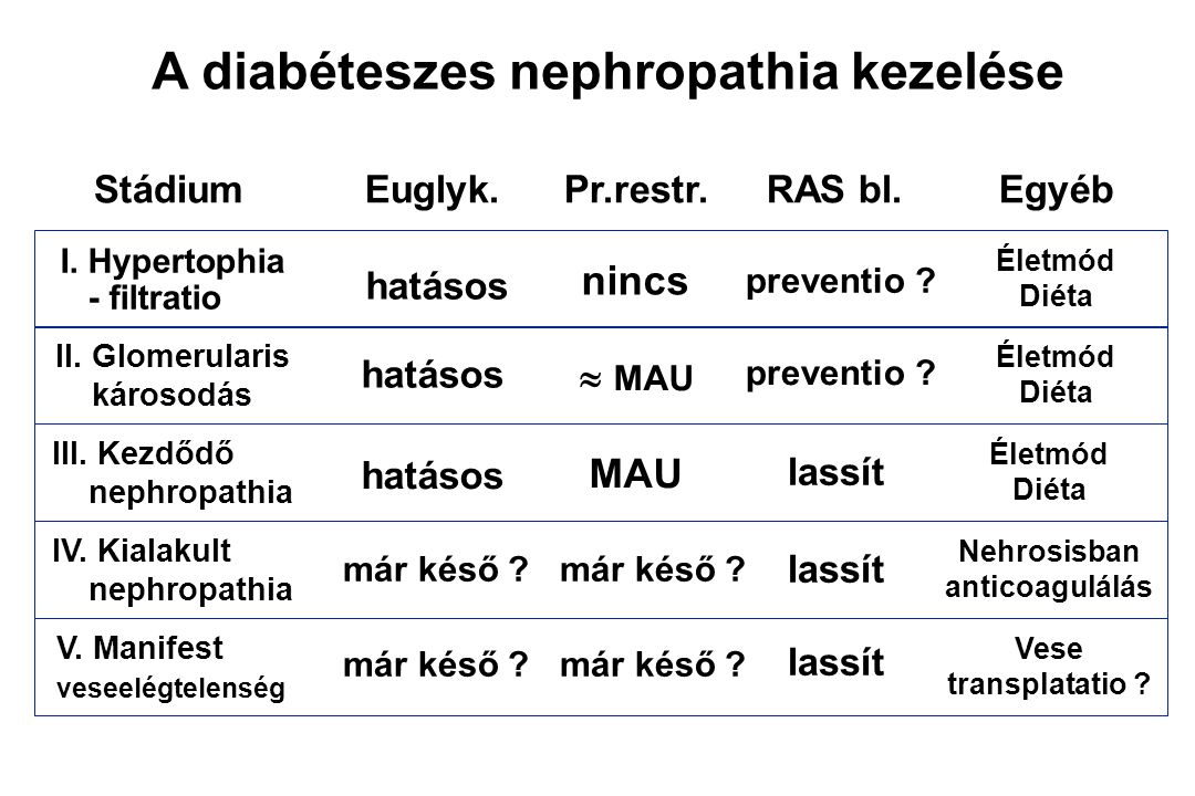 diabeteses nephropathia stádiumai