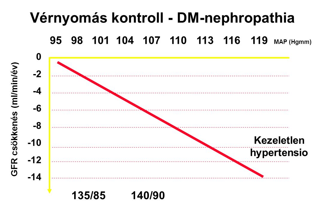Vérnyomás kontroll - DM-nephropathia GFR csökkenés (ml/min/év)