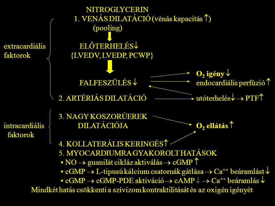 NITROGLYCERIN 1. VENÁS DILATÁCIÓ (vénás kapacitás ) (pooling) extracardiális ELŐTERHELÉS