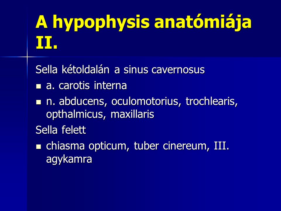A hypophysis anatómiája II.