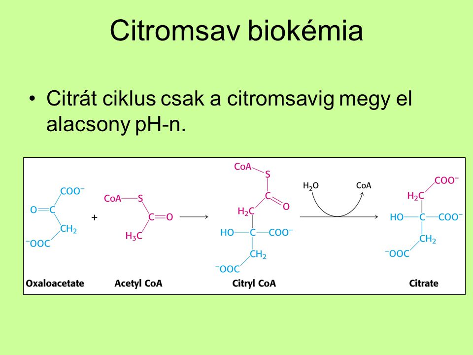Citromsav biokémia Citrát ciklus csak a citromsavig megy el alacsony pH-n.