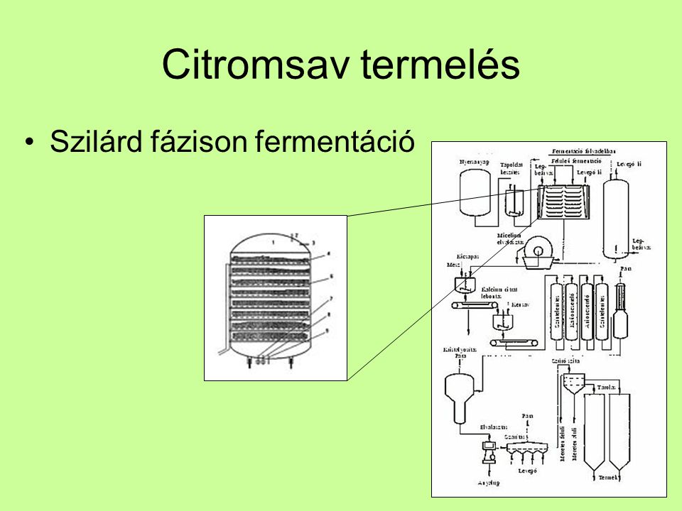 Citromsav termelés Szilárd fázison fermentáció