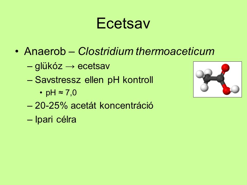 Ecetsav Anaerob – Clostridium thermoaceticum glükóz → ecetsav