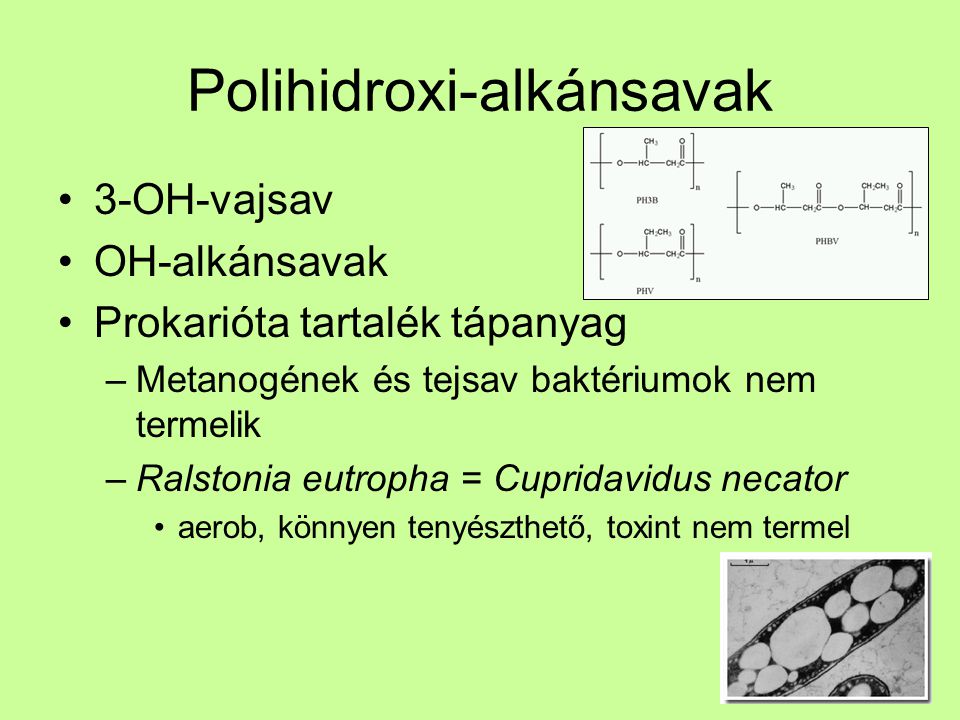Polihidroxi-alkánsavak