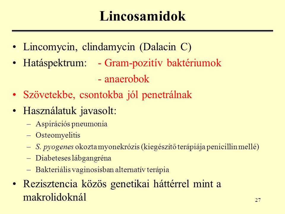 Lincosamidok Lincomycin, clindamycin (Dalacin C)