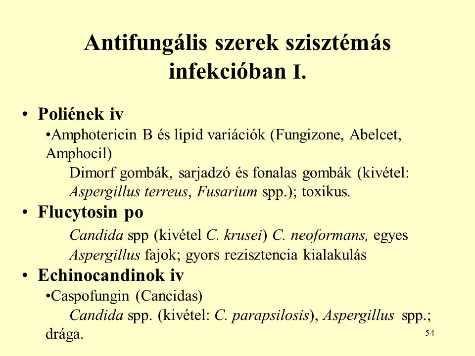 Antifungális szerek szisztémás infekcióban I.