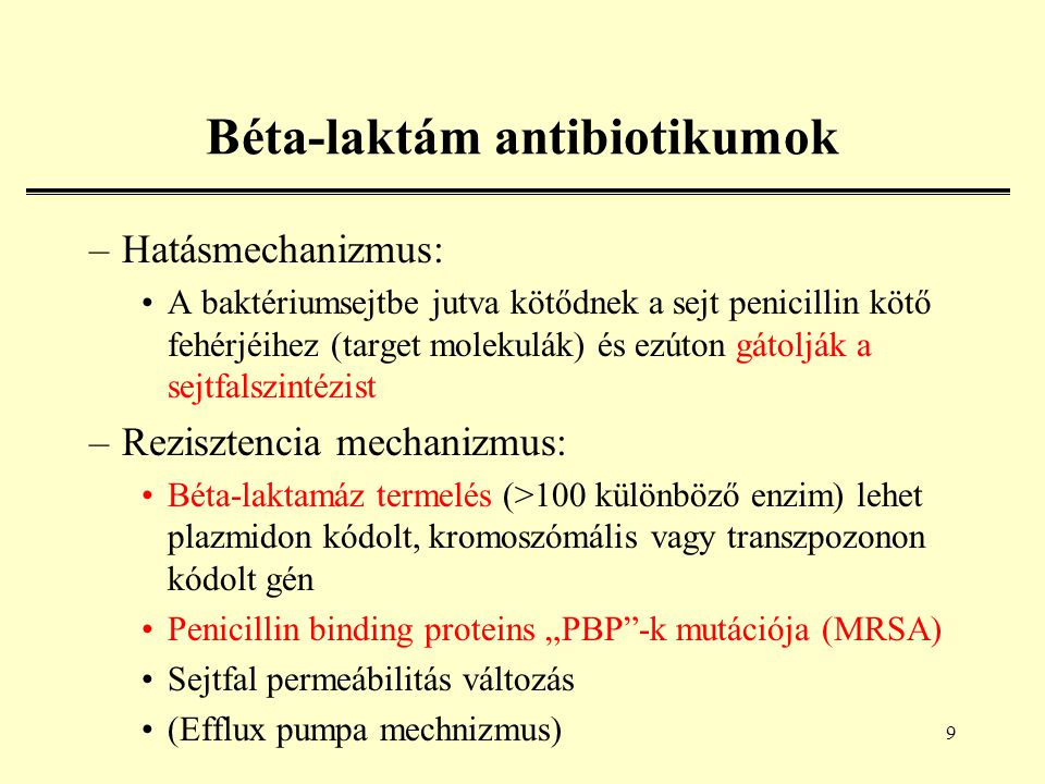 Béta-laktám antibiotikumok