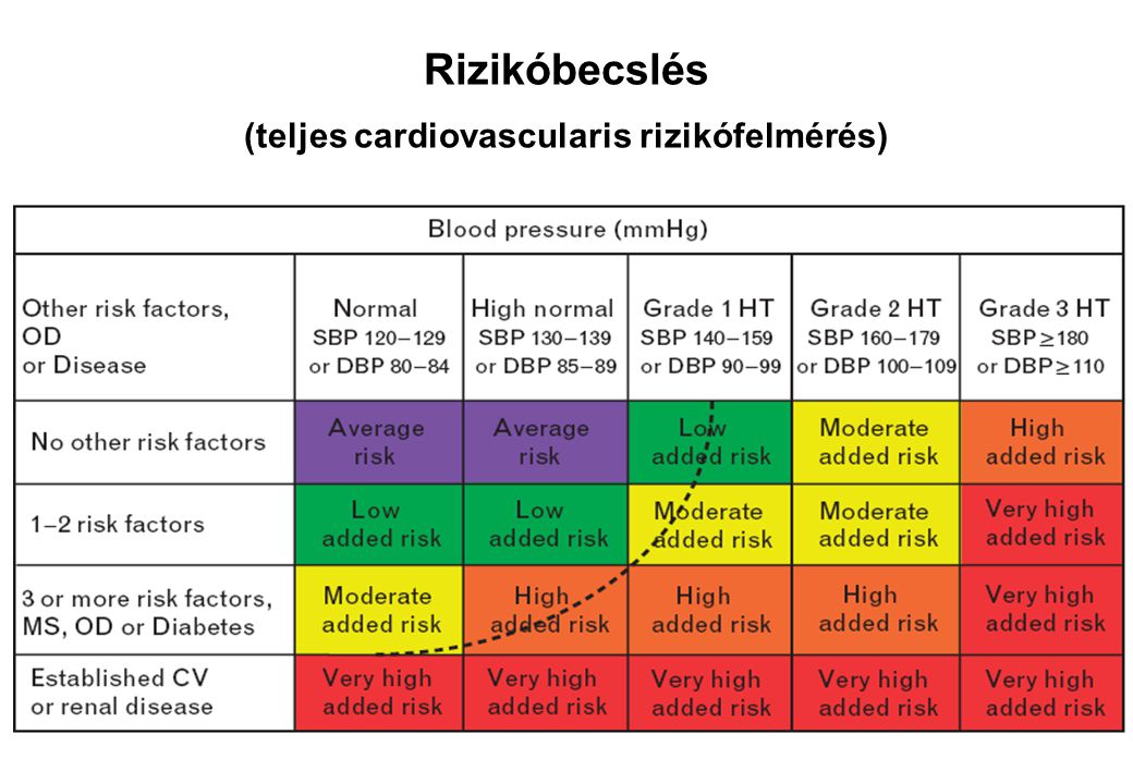 Rizikóbecslés (teljes cardiovascularis rizikófelmérés)