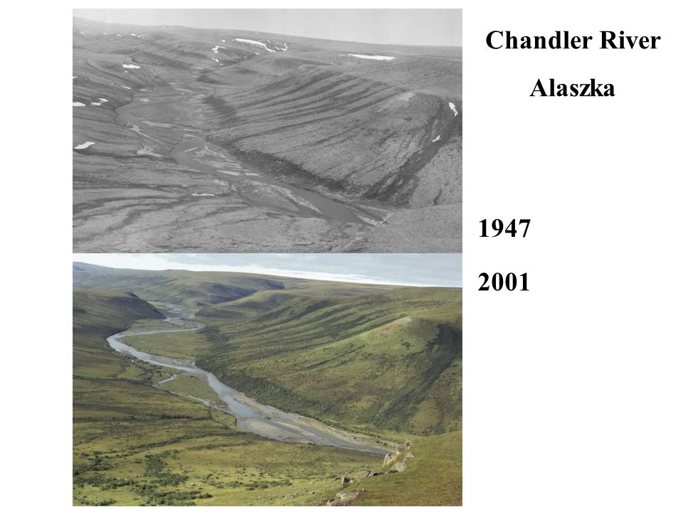 Chandler River Alaszka