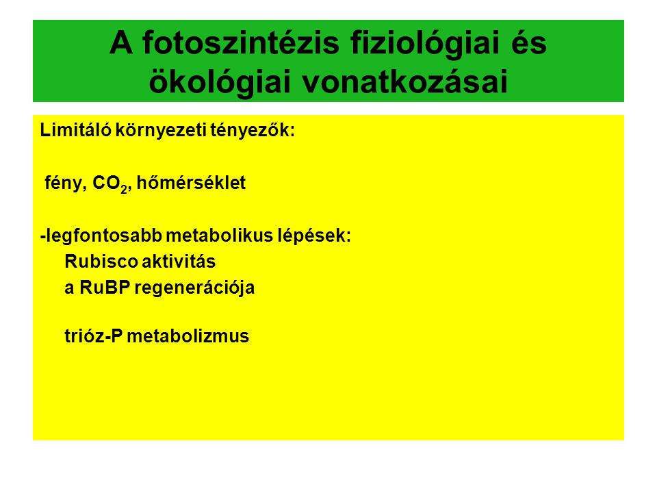 A fotoszintézis fiziológiai és ökológiai vonatkozásai
