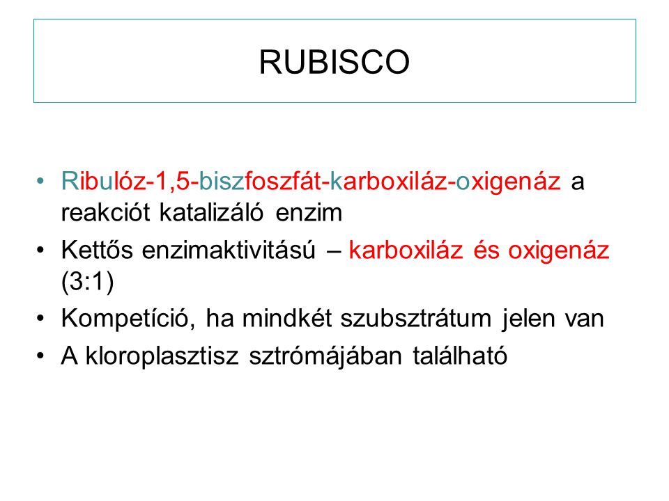 RUBISCO Ribulóz-1,5-biszfoszfát-karboxiláz-oxigenáz a reakciót katalizáló enzim. Kettős enzimaktivitású – karboxiláz és oxigenáz (3:1)