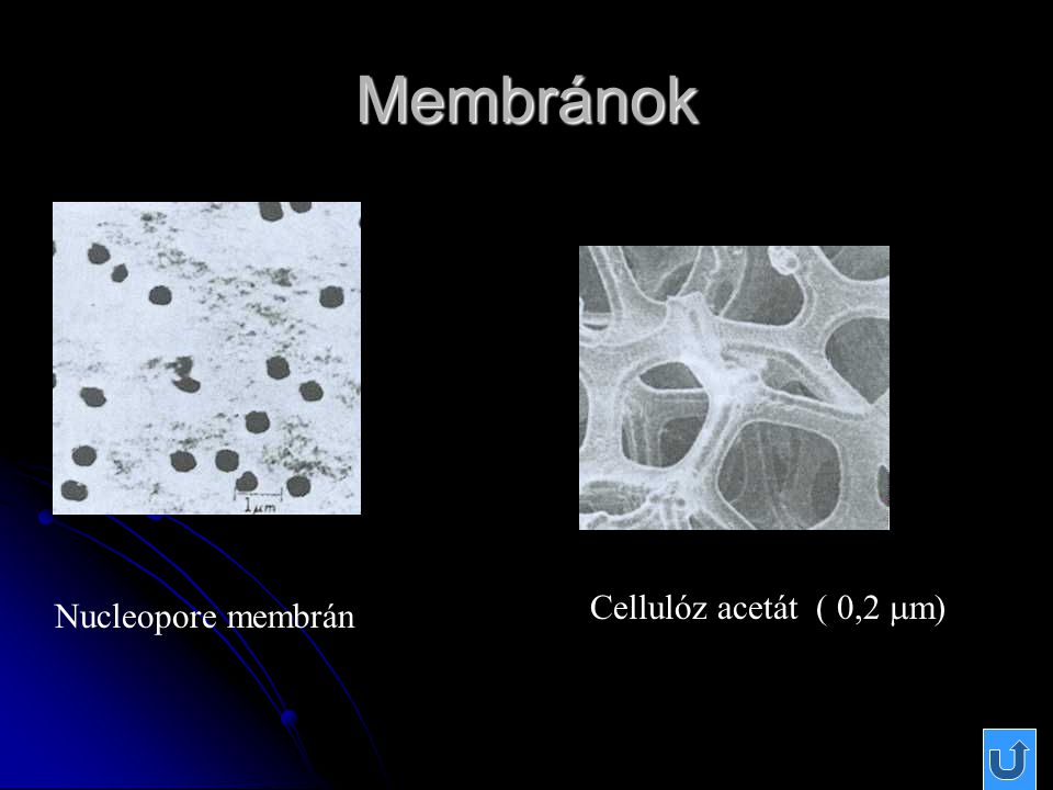 Membránok Cellulóz acetát ( 0,2 m) Nucleopore membrán