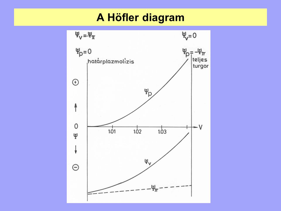 A Höfler diagram