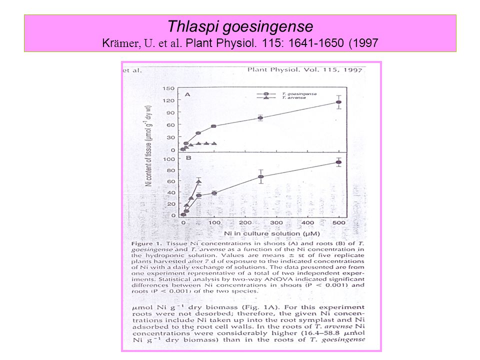 Thlaspi goesingense Krämer, U. et al. Plant Physiol