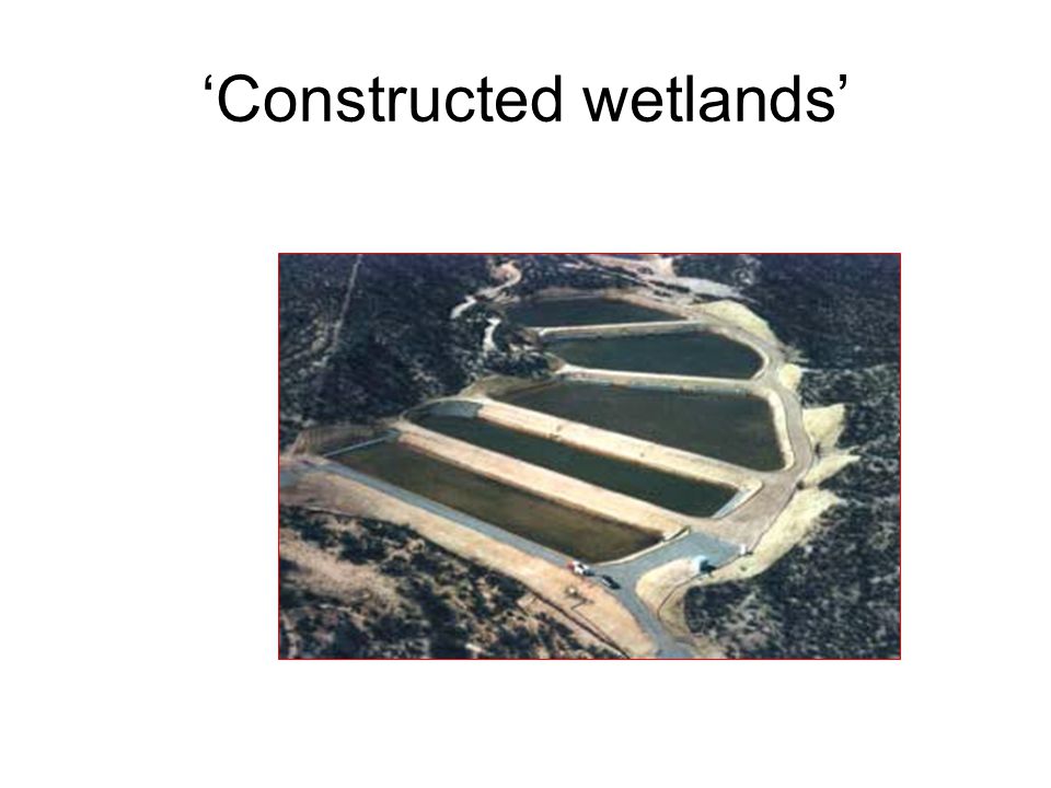 ‘Constructed wetlands’