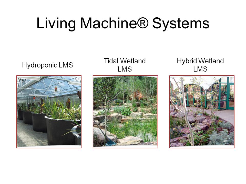 Living Machine® Systems